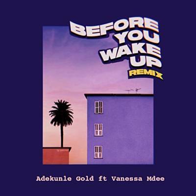 Before You Wake Up (Remix) Download free