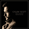 Calum Scott - No Matter What Ringtone