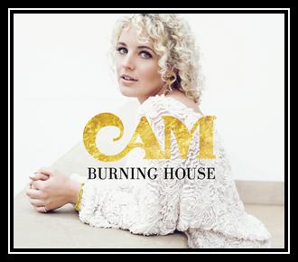 Burning House Download free