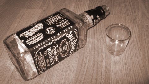 Empty Bottles Download free