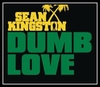 Sean Kingston - Dumb Love Ringtone