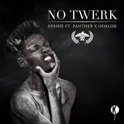 No Twerk (Original Mix) Download free