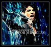 Adam Lambert - Time For Miracles Ringtone