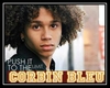 Corbin Bleu - Push It To The Limit Ringtone