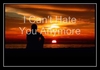 Nick Lachey - I Can't Hate You Anymore Ringtone