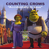 Various Artists - Counting Crows Accidentally In Love Ringtone