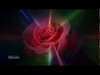 Leo Rojas - The Rose Ringtone