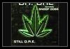 Dr. Dre Feat. Snoop Dog - Still D.R.E. Ringtone