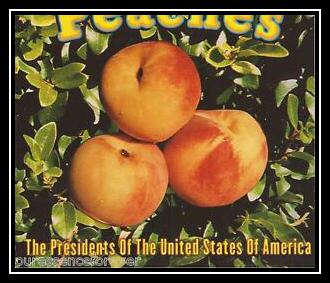 The Presidents Of The United States Of America - Peaches Ringtone