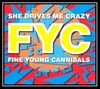 Fine Young Cannibals - She Drives Me Crazy Ringtone