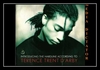 Terence Trent D'Arby - Wishing Well Ringtone