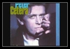 Peter Cetera - Big Mistake Ringtone