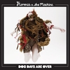 Florence + The Machine - Dog Days Are Over Ringtone