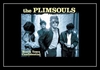 The Plimsouls - A Million Miles Away Ringtone