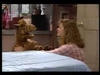 Theme Songs - ALF Ringtone