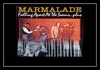 Marmalade - Falling Apart At The Seams Ringtone