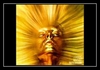 Ramsey Lewis And Earth, Wind & Fire - Sun Goddess Ringtone