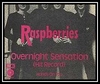 The Raspberries - Overnight Sensation (Hit Record) Ringtone