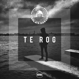 Te Rog (Pascal Junior Remix Radio Edit) Download free