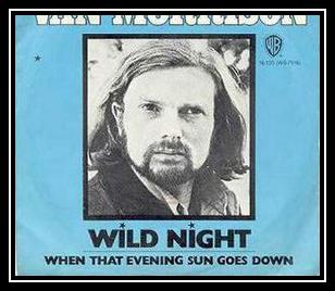 Wild Night Download free