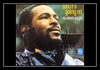 Marvin Gaye - What's Going On Ringtone