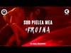 Carla's Dreams - Sub Pielea Mea (Banderas Radio Mix) Ringtone