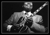 B.B. King - Why I Sing The Blues Ringtone