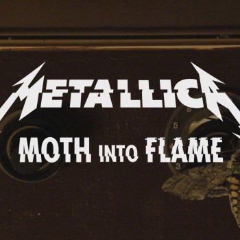 Moth Into Flame Download free