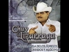 Chuy Lizarraga - El Muchacho Alegre Ringtone