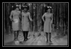 The Marvelettes - Don't Mess With Bill Ringtone