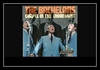 The Bachelors - Chapel In The Moonlight Ringtone