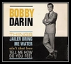 Bobby Darin - The Things In This House Ringtone