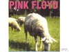 Pink Floyd - Sheep Ringtone