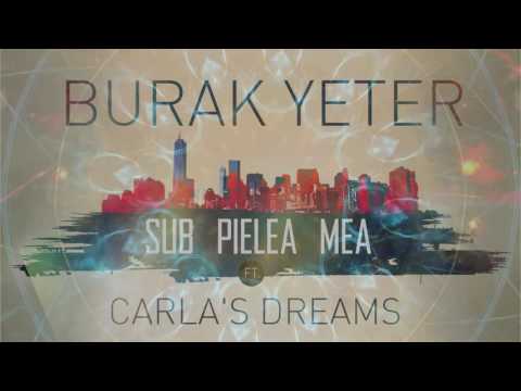 Sub Pielea Mea Download free