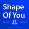 Ringtone - Shape Of You Ringtone