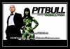 Pitbull - Both Die Right Now Ringtone