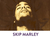 Skip Marley - Lions Ringtone