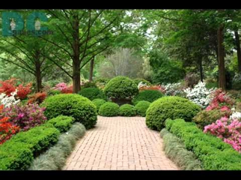 The Garden Download free