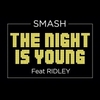 DJ Smash Feat. Ridley - The Night Is Young Ringtone