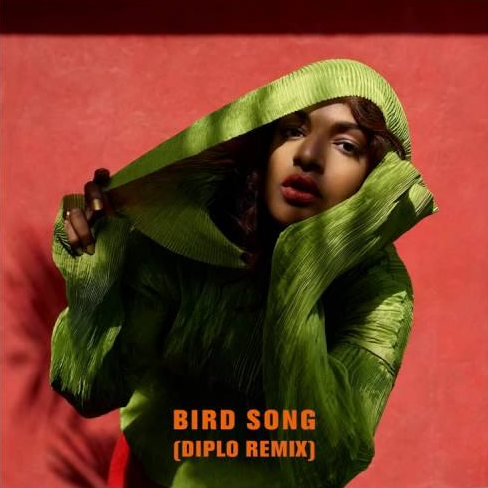 Bird Song Download free