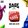 Sage The Gemini - Now Or Later Ringtone