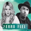 Shakira - Perro Fiel Ringtone