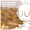 Armin Van Buuren Feat. Josh Cumbee - Sunny Days Ringtone