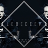 Dj Lebedeff - Lebedeep #019 Track 01 Ringtone