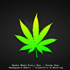 Snoop Dogg Q Bootleg Download free