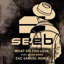 What Do You Love (Original Mix) Download free