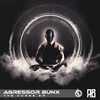 Agressor Bunx - The Spirit (Original Mix) Ringtone