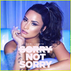 Demi Lovato - Sorry Not Sorry Ringtone