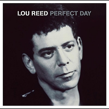 Perfect Day Download free