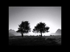 Ludovico Einaudi - Two Trees Ringtone